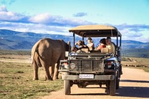 Foto-Safari