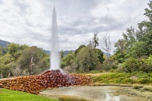 Andernach Geysir