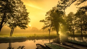 Spreewald bei Sonnenaufgang