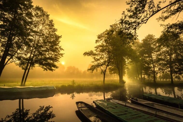 Spreewald bei Sonnenaufgang